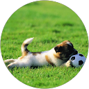 shubham shinde profile picture