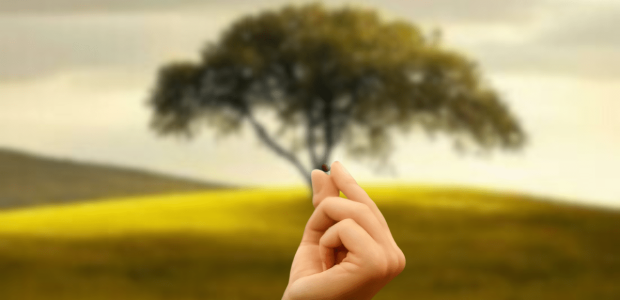 Untitled (300 x 122 px) (1200 x 600 px)