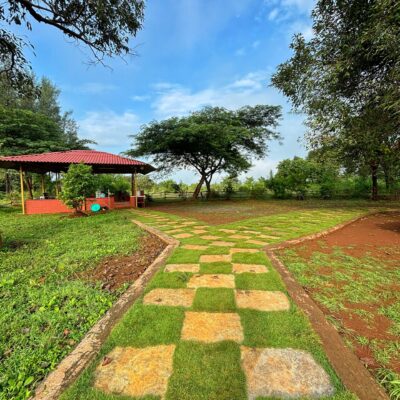 peaceful outdoor campsite environment with trees